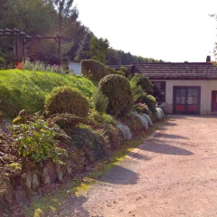Hotel Klostergarten - Bild 15