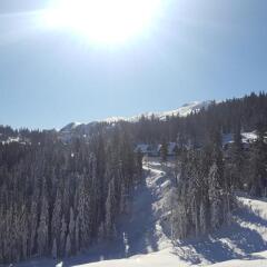 Jahorina Apartment 226 in Aparthotel Vucko in Jahorina, Bosnia and Herzegovina from 634$, photos, reviews - zenhotels.com photo 33