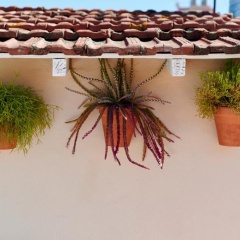 The Boc Hostels Palma - Youth Hostel - Bild 11