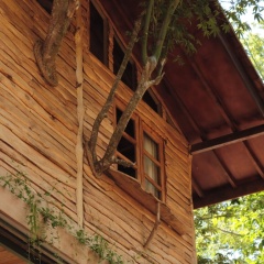 Roots Tree House - Bild 1