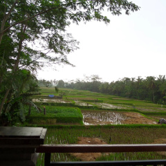 Inang villa - Bild 18