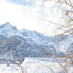 Olympia - Bild 1