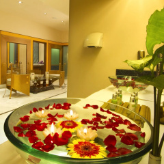 The Piccadily Lucknow thumbnail 10