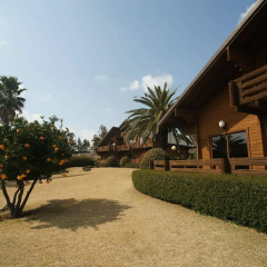 Sunny Day Jeju Pension thumbnail 8