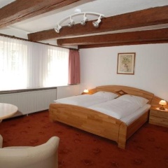 Brauner Hirsch - Bild 3