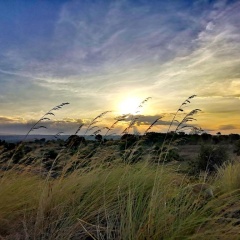 Alba Tulamben - Bild 2