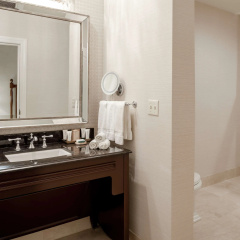 The Roosevelt New Orleans, A Waldorf Astoria Hotel thumbnail 10
