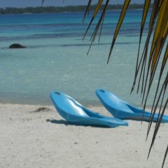 Pension Aotera in Rangiroa, French Polynesia from 282$, photos, reviews - zenhotels.com photo 9