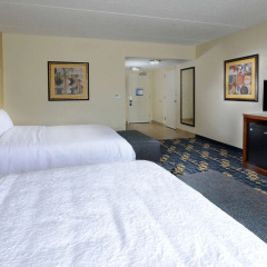 Hampton Inn & Suites Lynchburg thumbnail 6