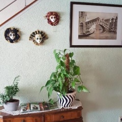 Hotel Venezia - Bild 12