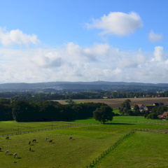 Hotel Weitblick - Bild 16