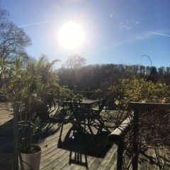 Ferienwohnung Teufelsmauer Waldhaus - Bild 12
