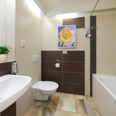 Ankora - Bild 7