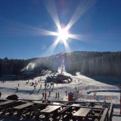 Astoria Lux - K16 Milmari in Kopaonik, Serbia from 115$, photos, reviews - zenhotels.com photo 34