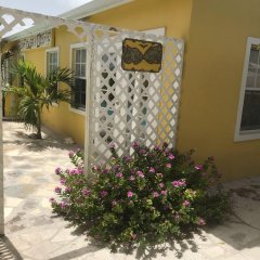 Sunflower Oasis in Grand Turk, Turks and Caicos from 914$, photos, reviews - zenhotels.com photo 12