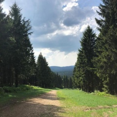 Hahnenklee Ferienpark 7-511 - Bild 2