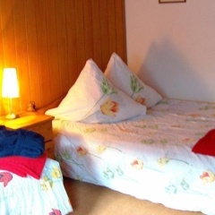 Peterswerder - Bild 6