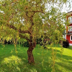 Johannesbad Hotel Fussinger Hof - Bild 15