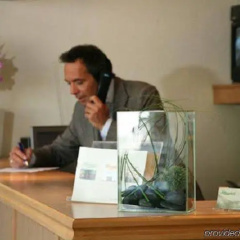 Alleenhof - Bild 9
