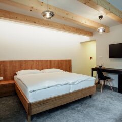 Отель Resla Residence Словакия, Банска-Штьявница - отзывы, цены и фото номеров - забронировать отель Resla Residence онлайн фото 41