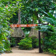 Wavi Island -Villas in Savusavu, Fiji from 491$, photos, reviews - zenhotels.com photo 18