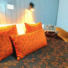 Young Goldrush Motel thumbnail 12