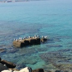 Marina Holiday Home thumbnail 11