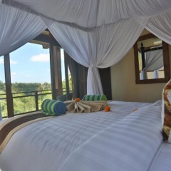 Bali Ubud Villa View - Bild 3