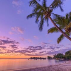 Domaine des Alizées in Pointe aux Canonniers, Mauritius from 319$, photos, reviews - zenhotels.com photo 4