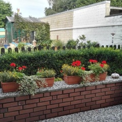 Ferienwohnung Neuss Spelter - Bild 8
