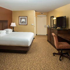 The Park Vista - a DoubleTree by Hilton Hotel - Gatlinburg thumbnail 4