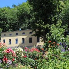 Ferienwohnung Goldgrund15 - Bild 9