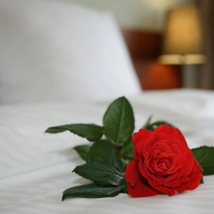 Aparthotel Globus - Bild 11