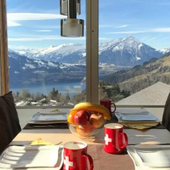 Swiss Lakeview Apartment thumbnail 3