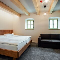 Отель Resla Residence Словакия, Банска-Штьявница - отзывы, цены и фото номеров - забронировать отель Resla Residence онлайн фото 27