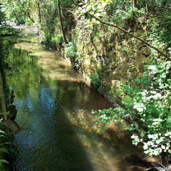 Hermina - Bild 12