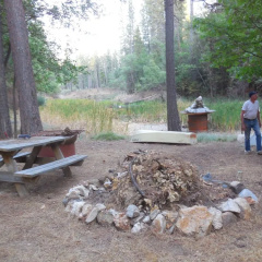 Yosemite Paradise Inn thumbnail 13