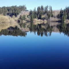 waldhotel AUSZEIT - Bild 20