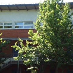 Albrechtshof (Adults Only) - Bild 8