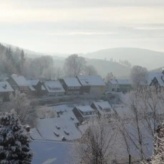Le Relax im Harz - Bild 7
