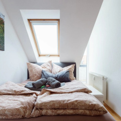3 Raum-Wohnung mit Blick auf die Zitadelle Petersberg - DIREKT am BUGA-Gelände 2021 - Bild 2