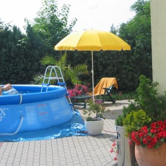 Adler - Bild 11