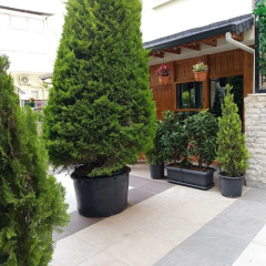 Ber Mai Inci Hotel - Bild 16