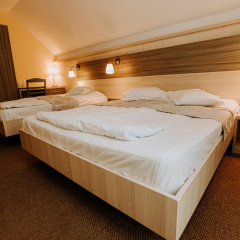 Guest house Lacul Linistit thumbnail 8