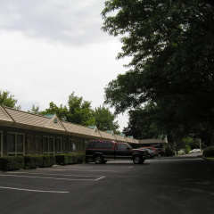 T-Bird Motor Inn thumbnail 15
