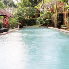 The Bali Shanti thumbnail 3