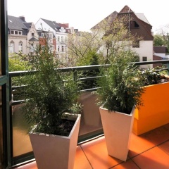 Business Suiten - Bild 10