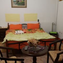 Goldenroom Elbiar in Algiers, Algeria from 59$, photos, reviews - zenhotels.com photo 6