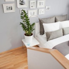 Studio 44 Apartments - Bild 15