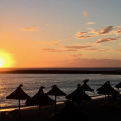 Tenerife Royal Gardens thumbnail 9